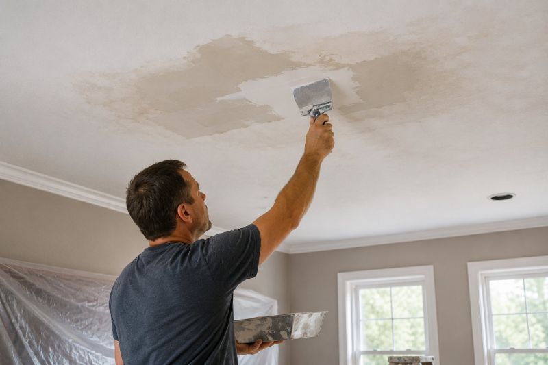 Ceiling Leak Repair Service in Summerville, SC