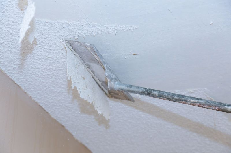 Ceiling Removal Service in Summerville, SC