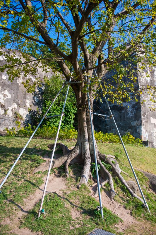 Foundation and Support