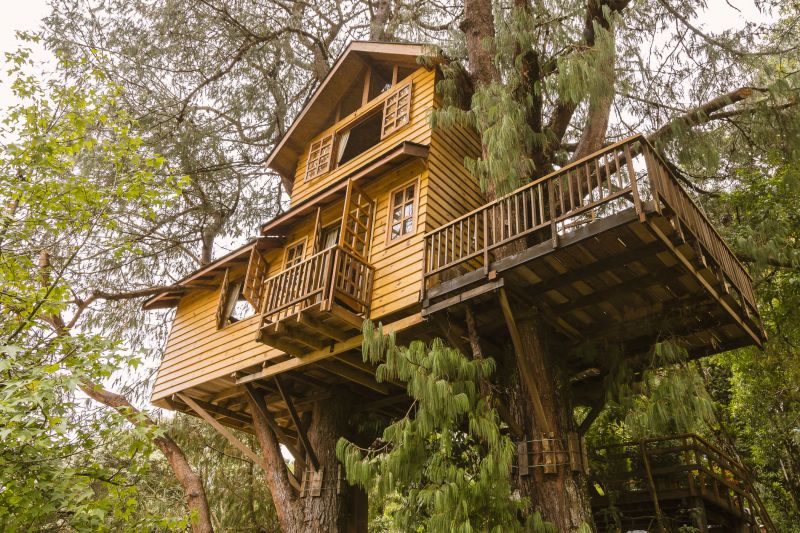 Treehouse Repair