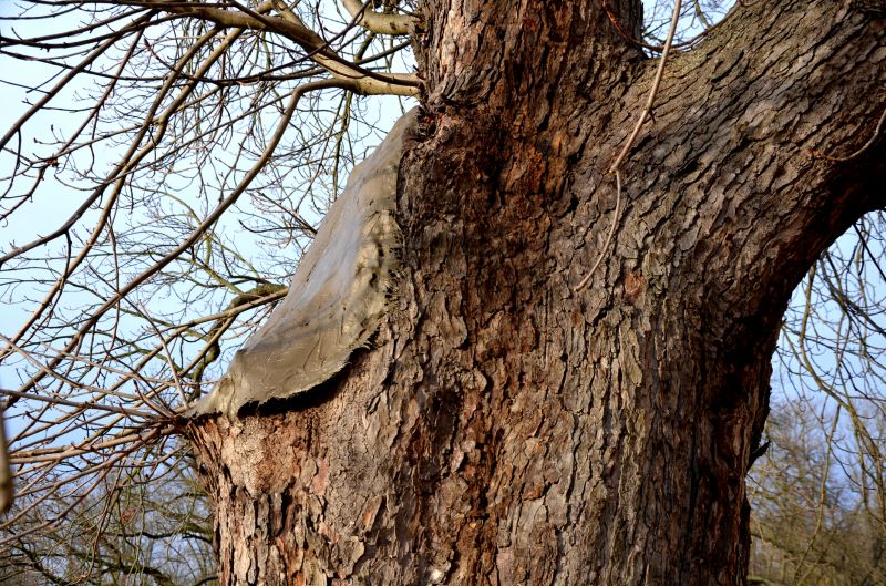 Weatherproofing Materials