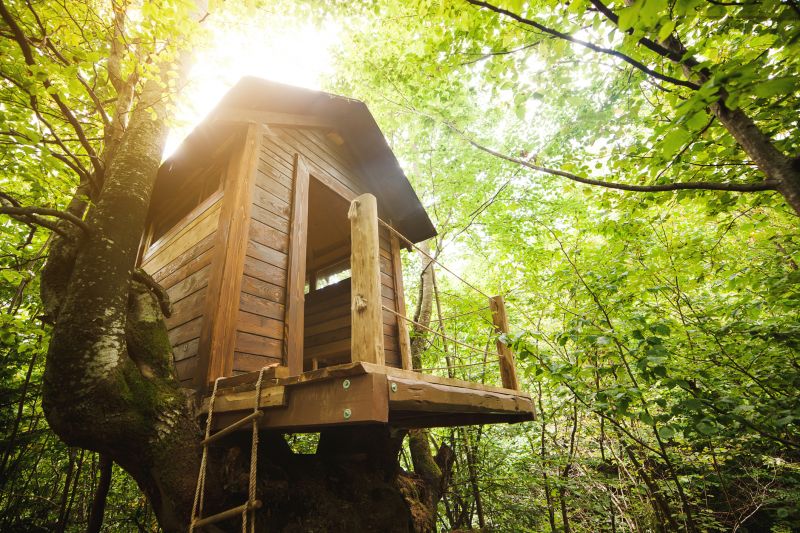Whether you want to refresh the look, add new features, or enhance usability, professionals can upgrade your treehouse with better materials